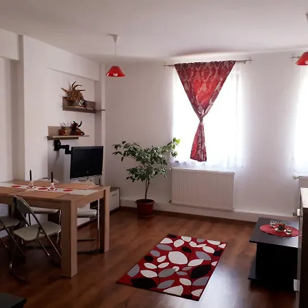 Appartement Studio Andreea