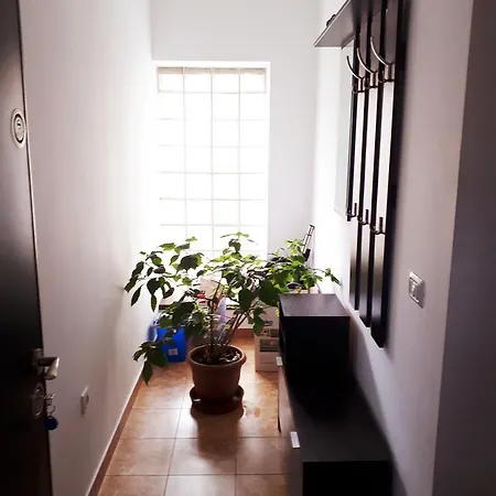 Appartement Studio Andreea Braşov
